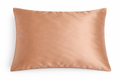 Pillowcase-two pack (Gold)